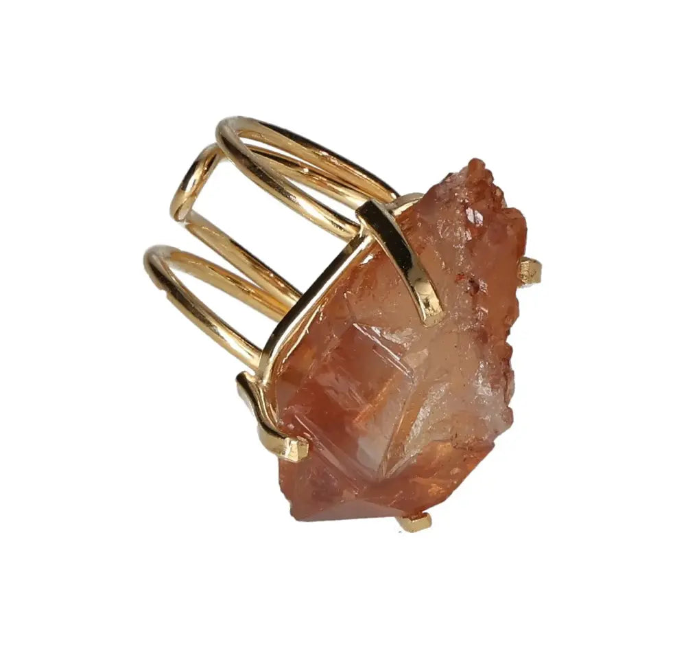 orbitvu|type:image2d