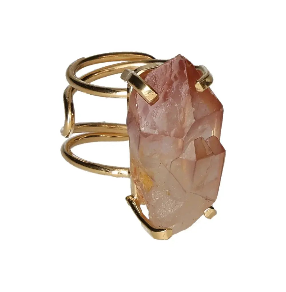 orbitvu|type:image2d