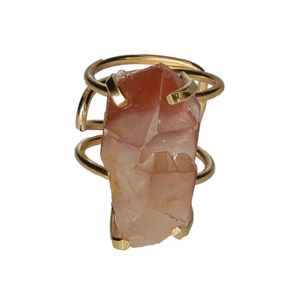 orbitvu|type:image2d