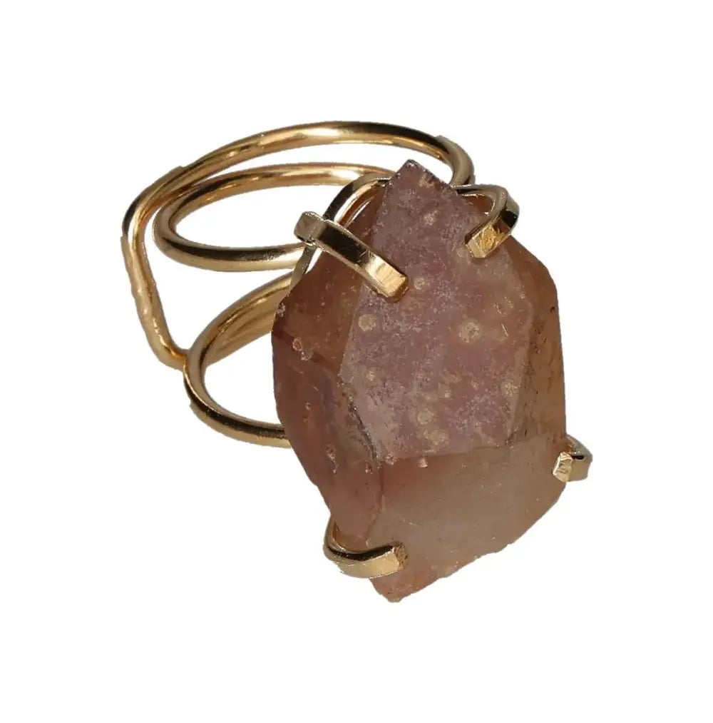 orbitvu|type:image2d