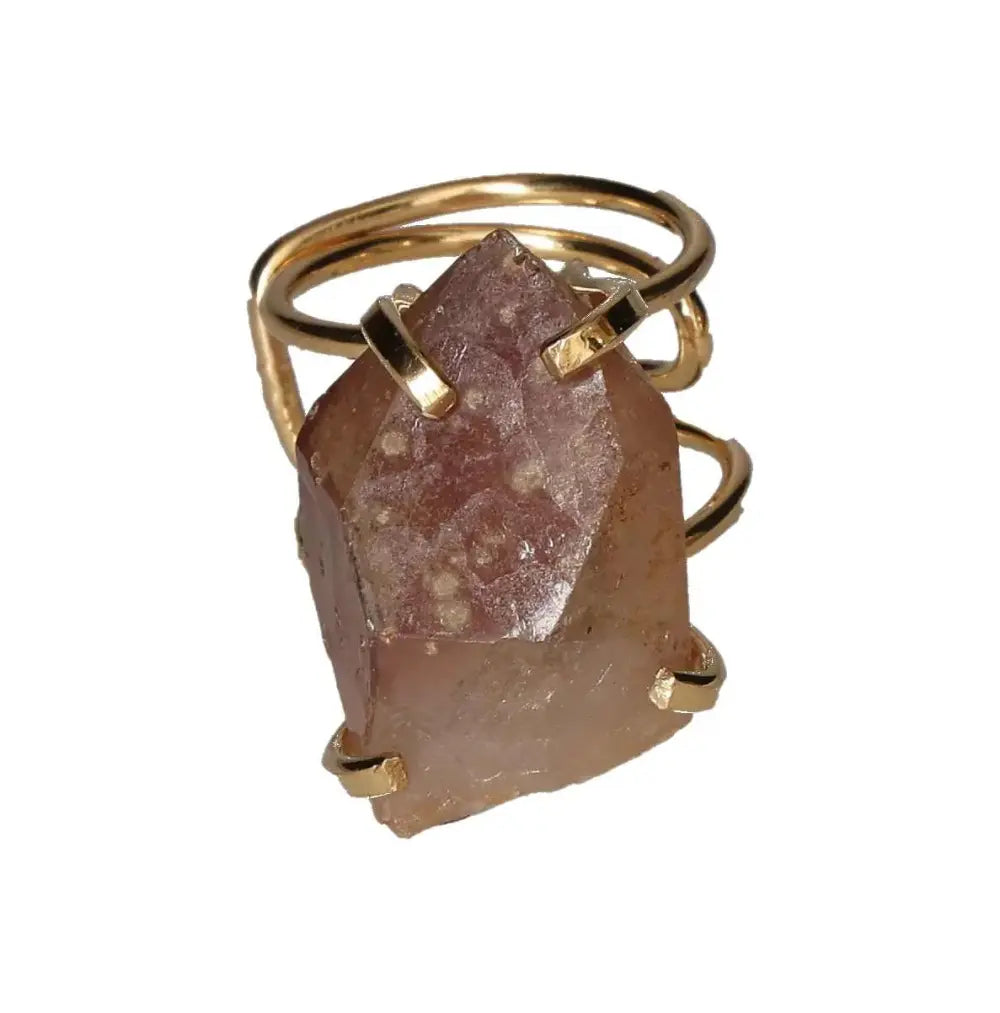 orbitvu|type:image2d