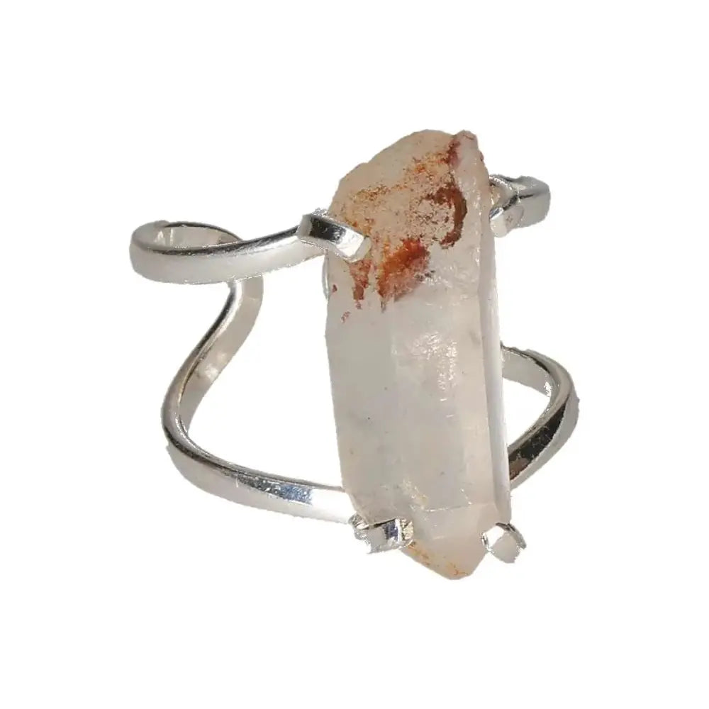 orbitvu|type:image2d