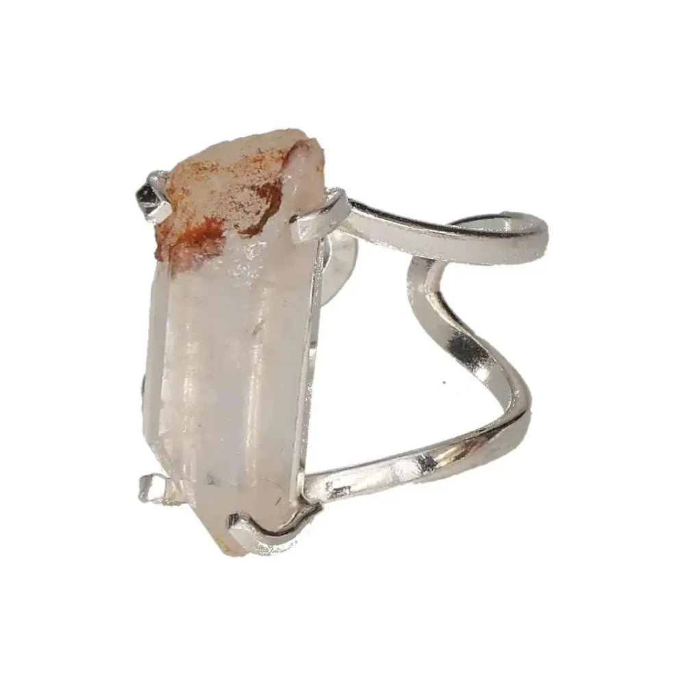 orbitvu|type:image2d