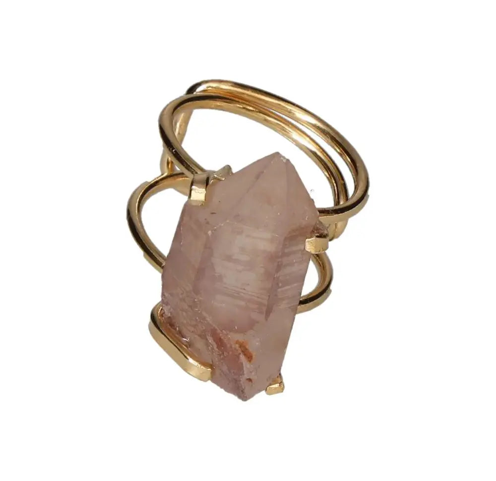 orbitvu|type:image2d