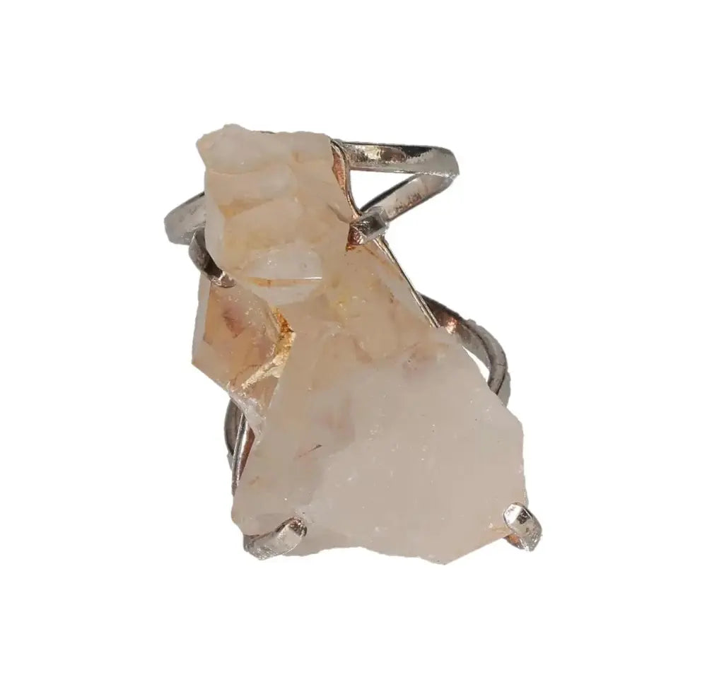 orbitvu|type:image2d