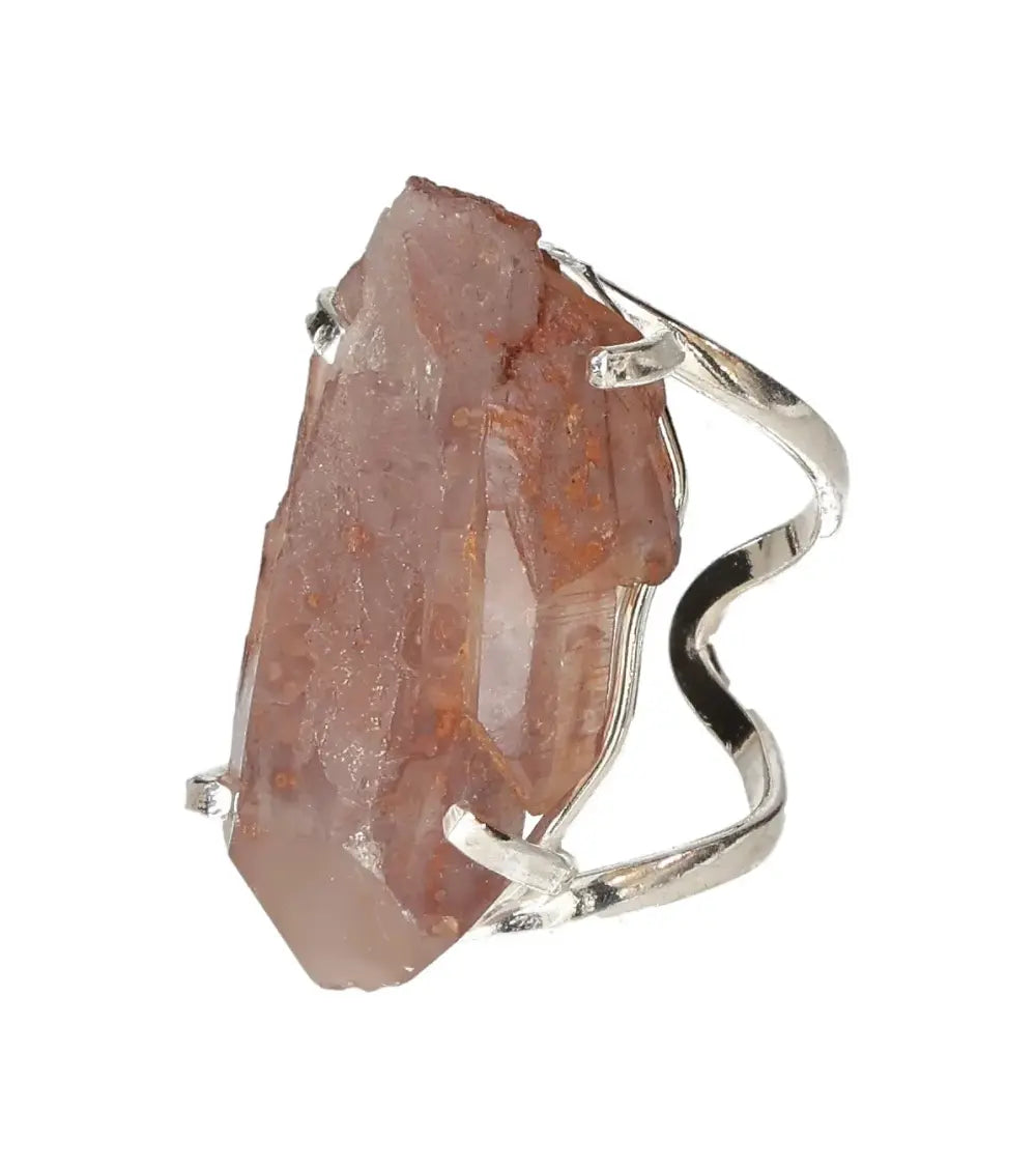 orbitvu|type:image2d