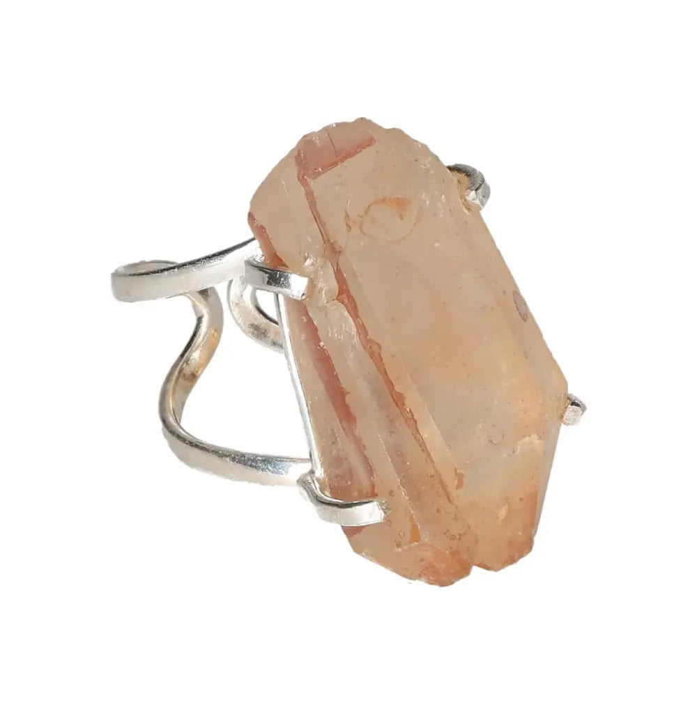 orbitvu|type:image2d