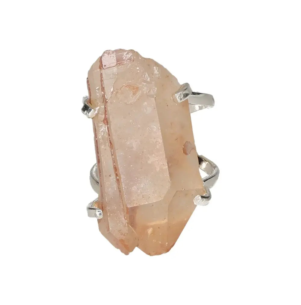 orbitvu|type:image2d