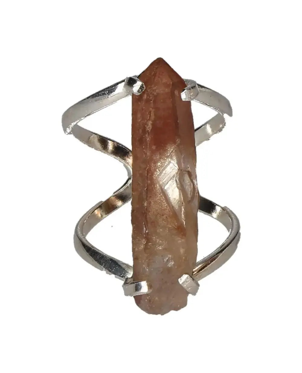 orbitvu|type:image2d