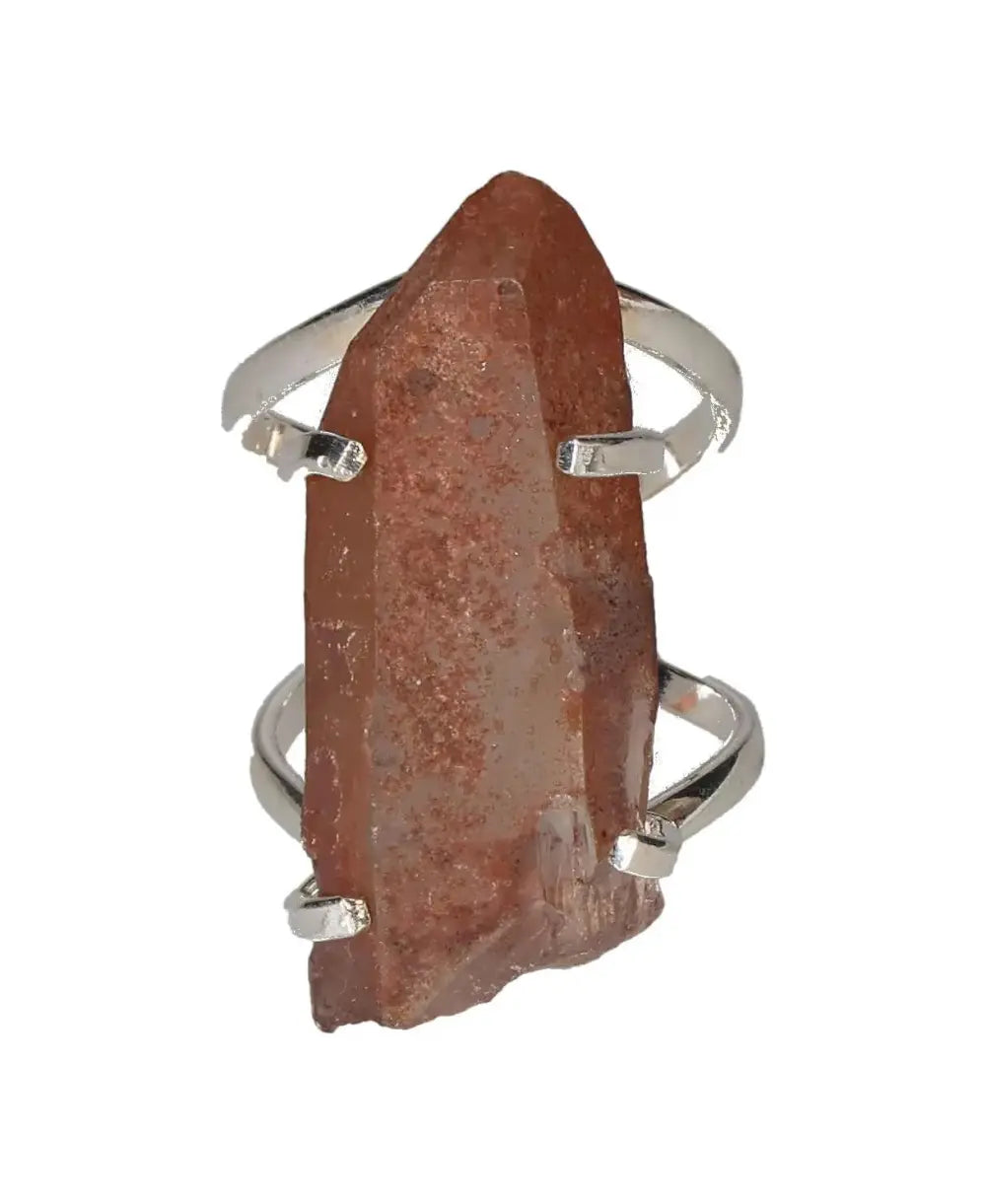 orbitvu|type:image2d