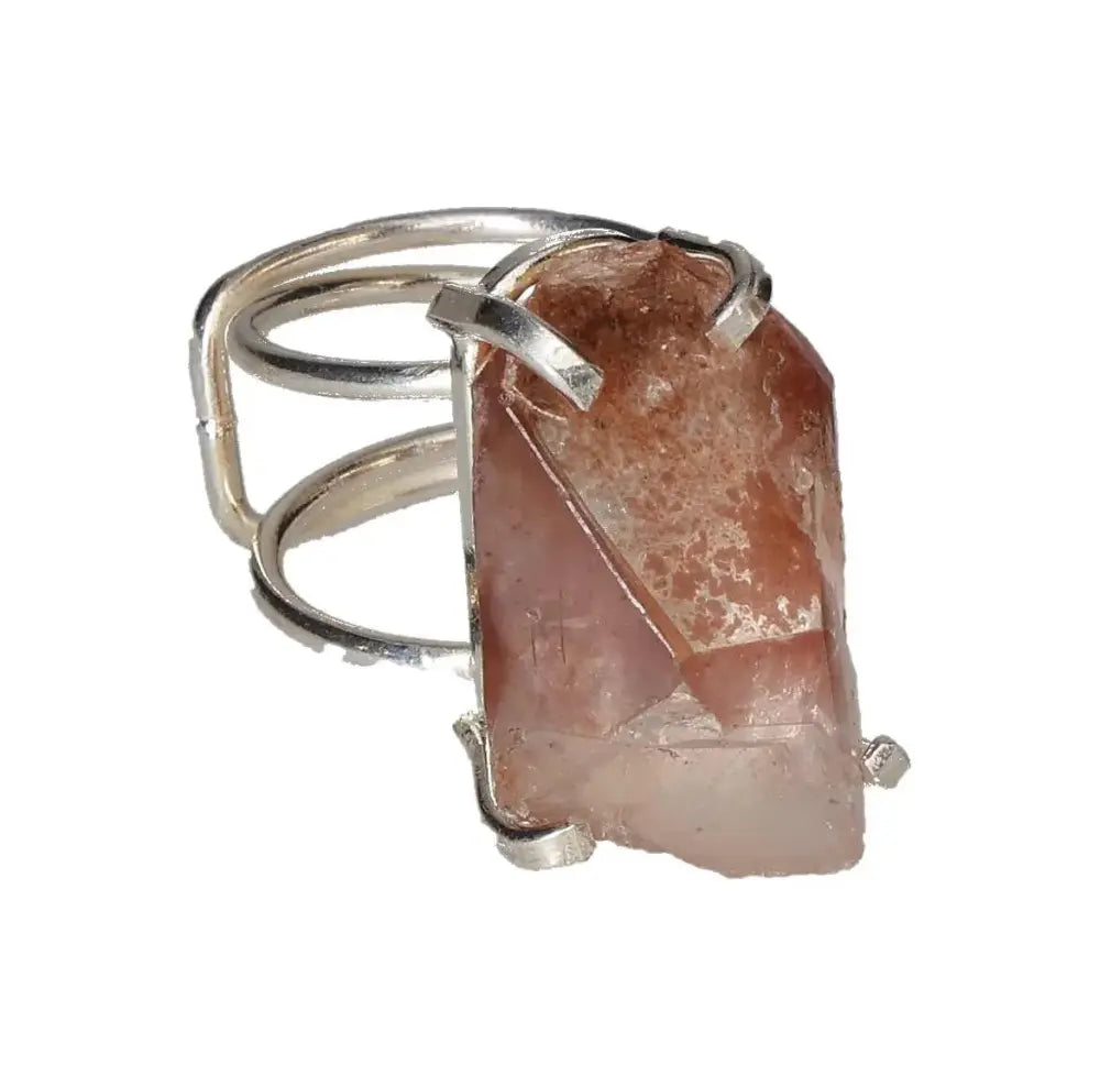 orbitvu|type:image2d