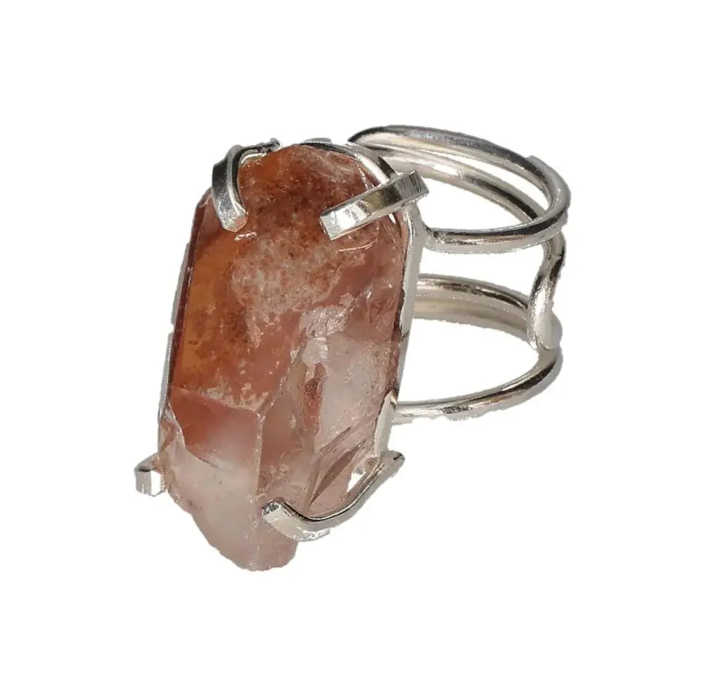 orbitvu|type:image2d