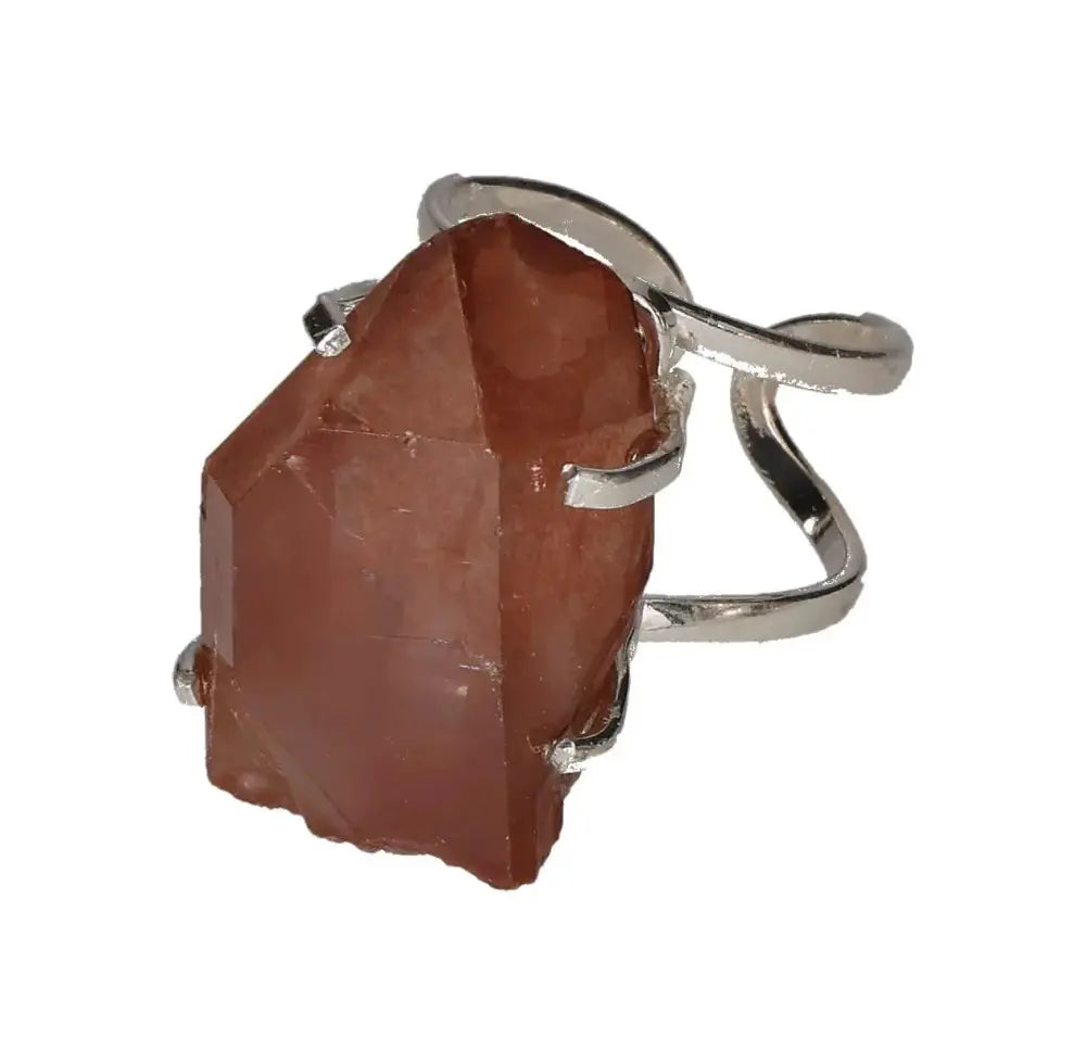 orbitvu|type:image2d