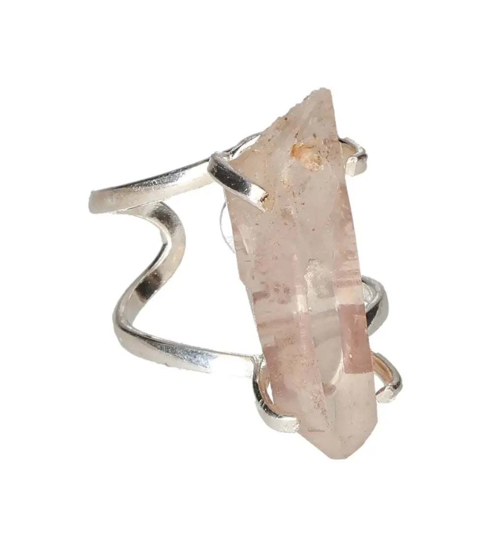 orbitvu|type:image2d