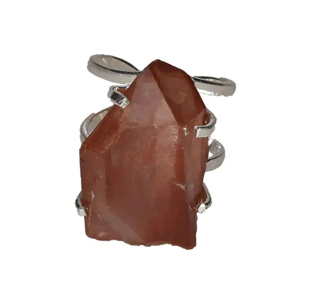 orbitvu|type:image2d