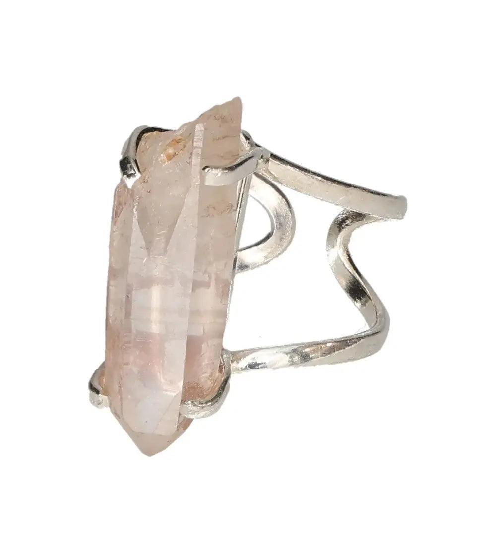 orbitvu|type:image2d