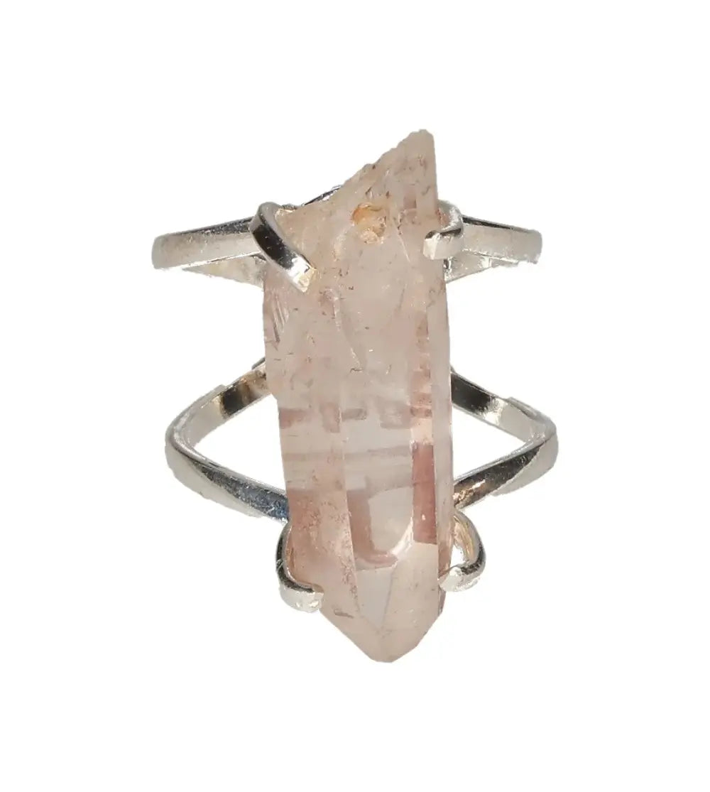 orbitvu|type:image2d