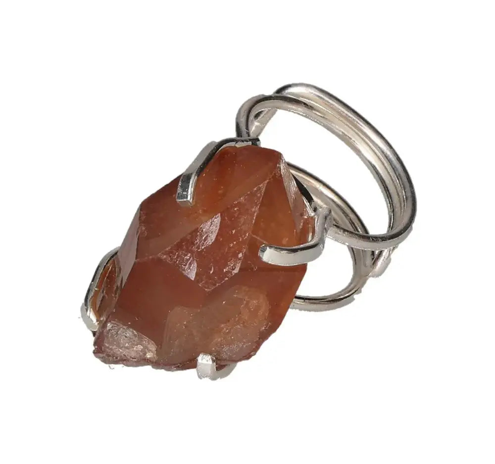 orbitvu|type:image2d