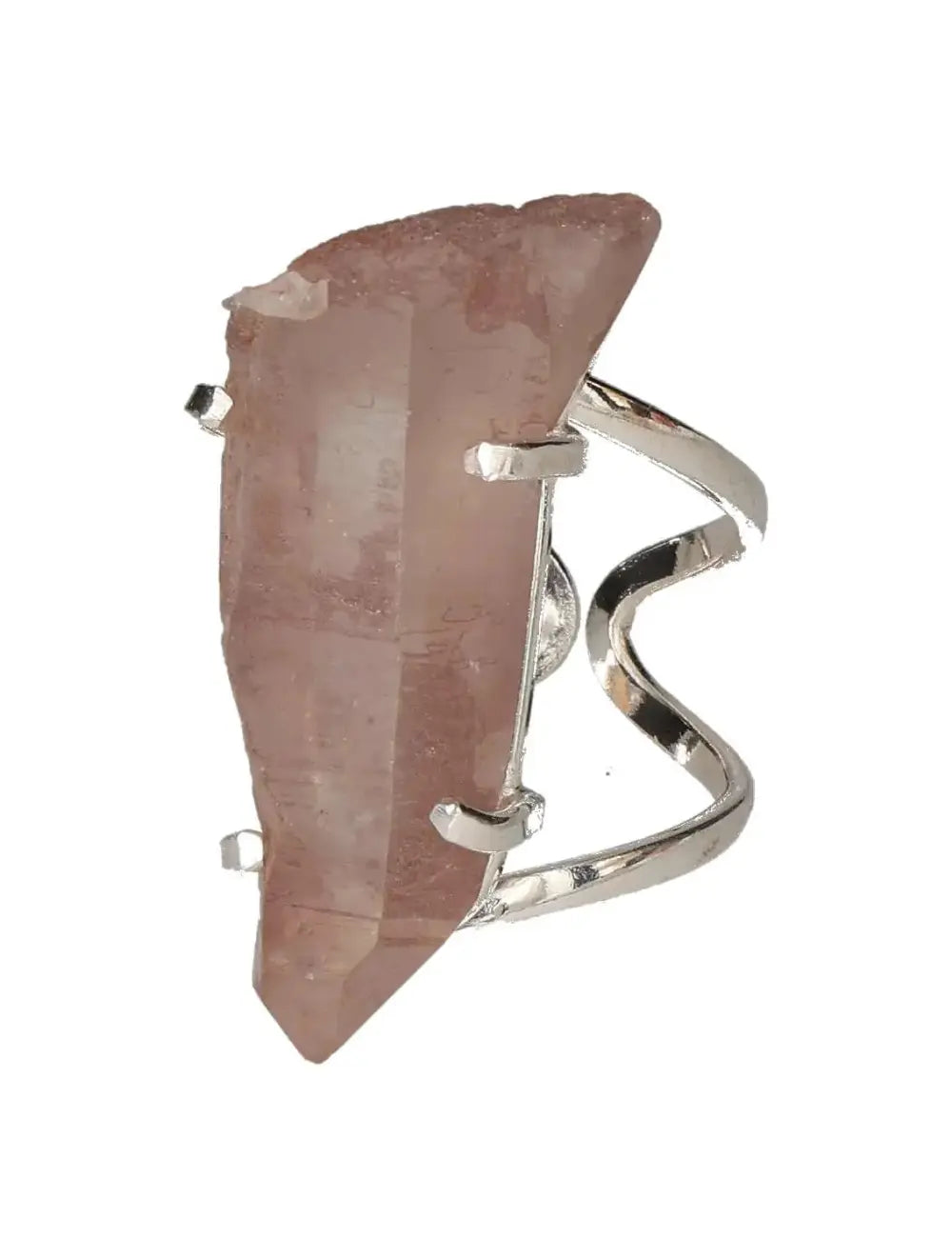 orbitvu|type:image2d