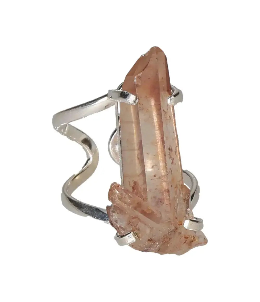 orbitvu|type:image2d