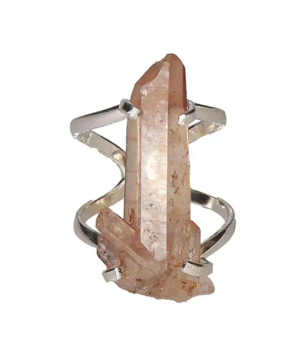 orbitvu|type:image2d