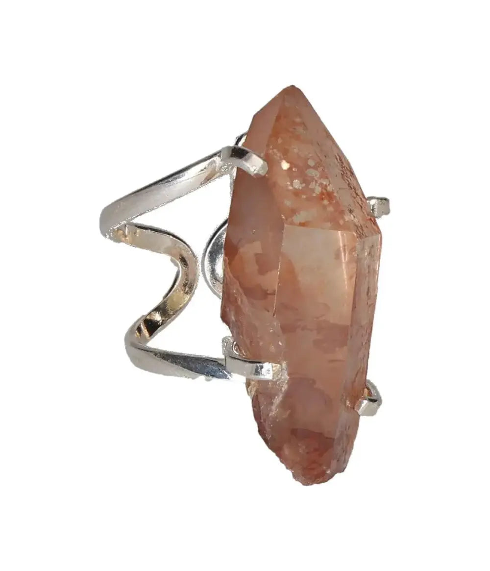 orbitvu|type:image2d