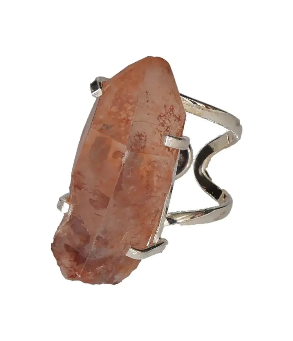 orbitvu|type:image2d