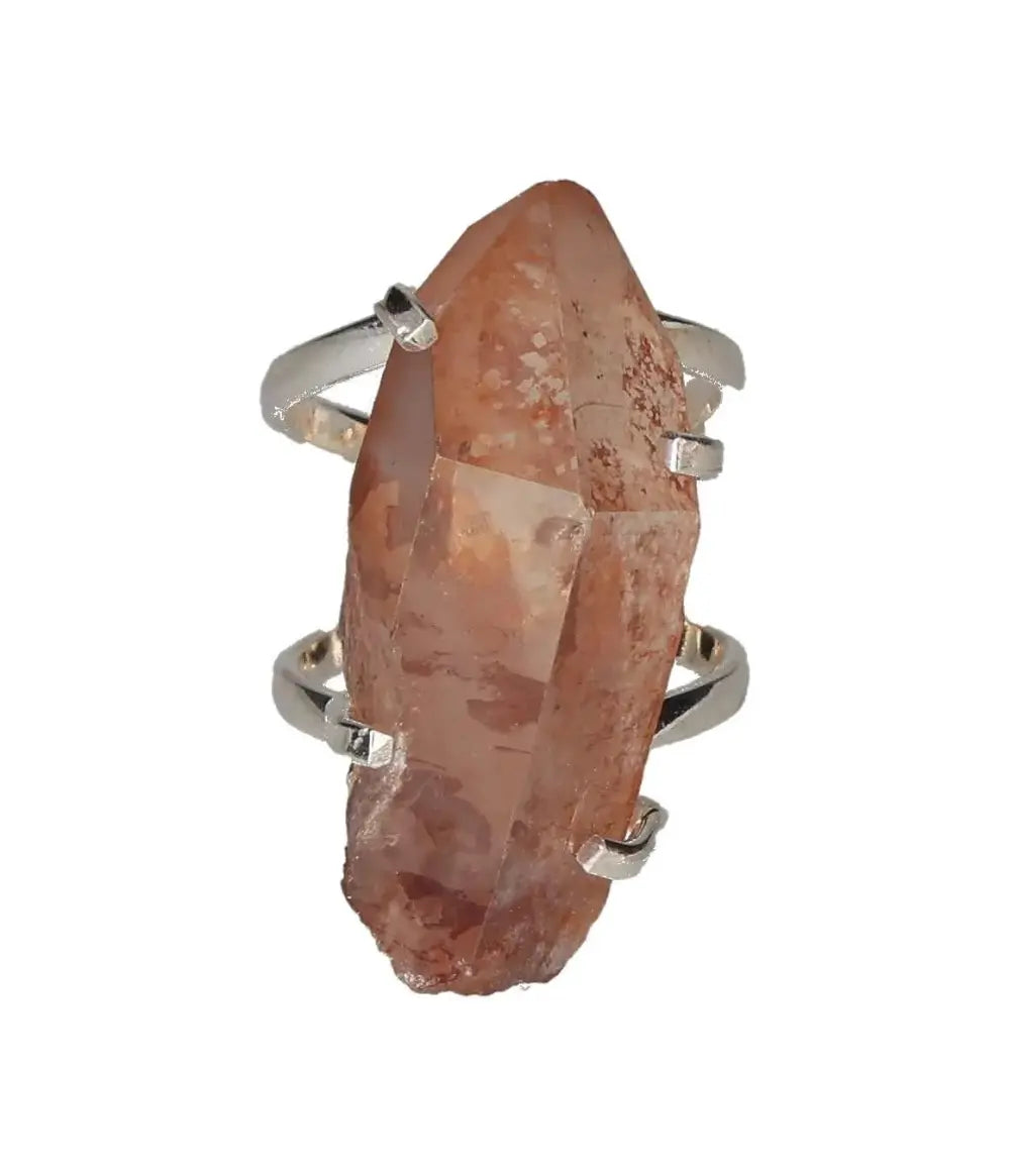 orbitvu|type:image2d