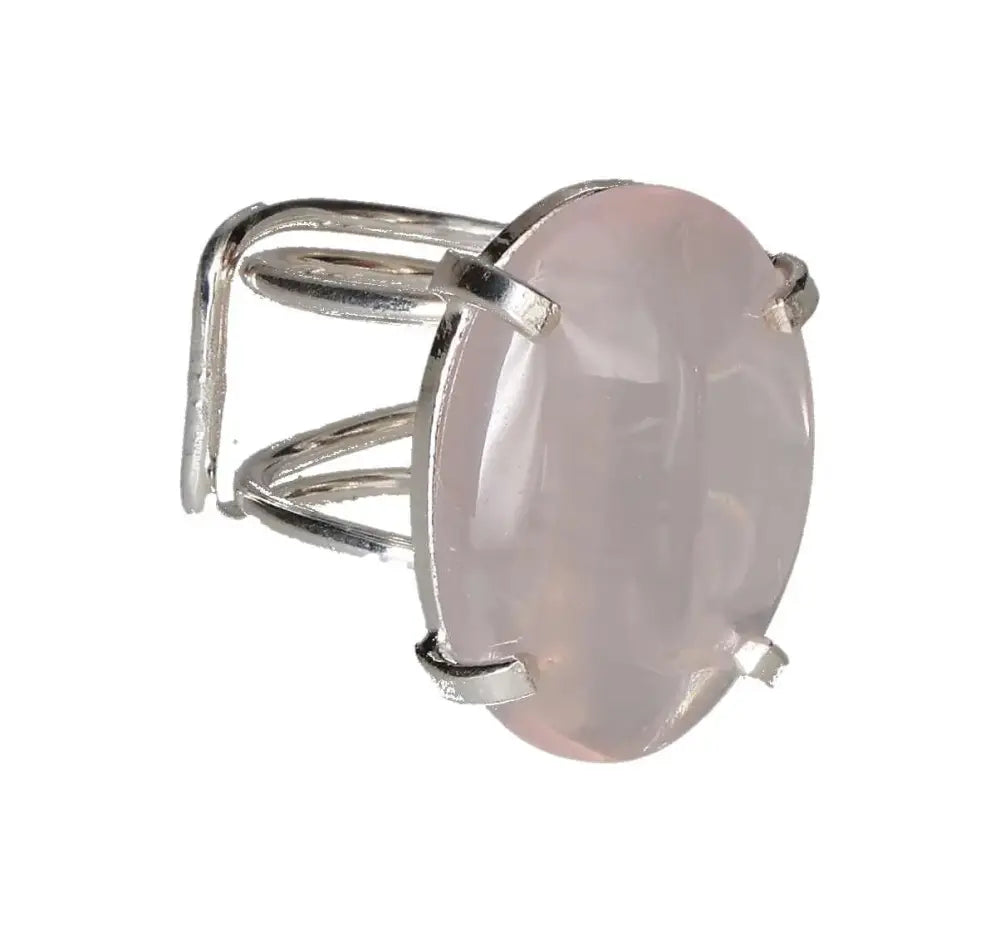 orbitvu|type:image2d