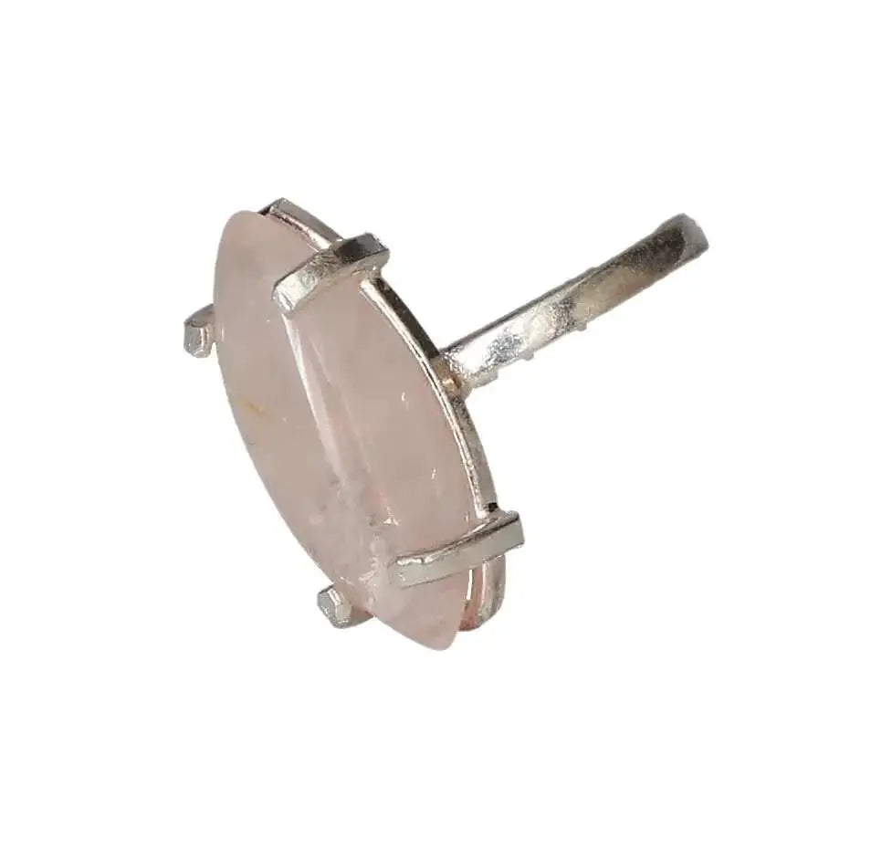 orbitvu|type:image2d