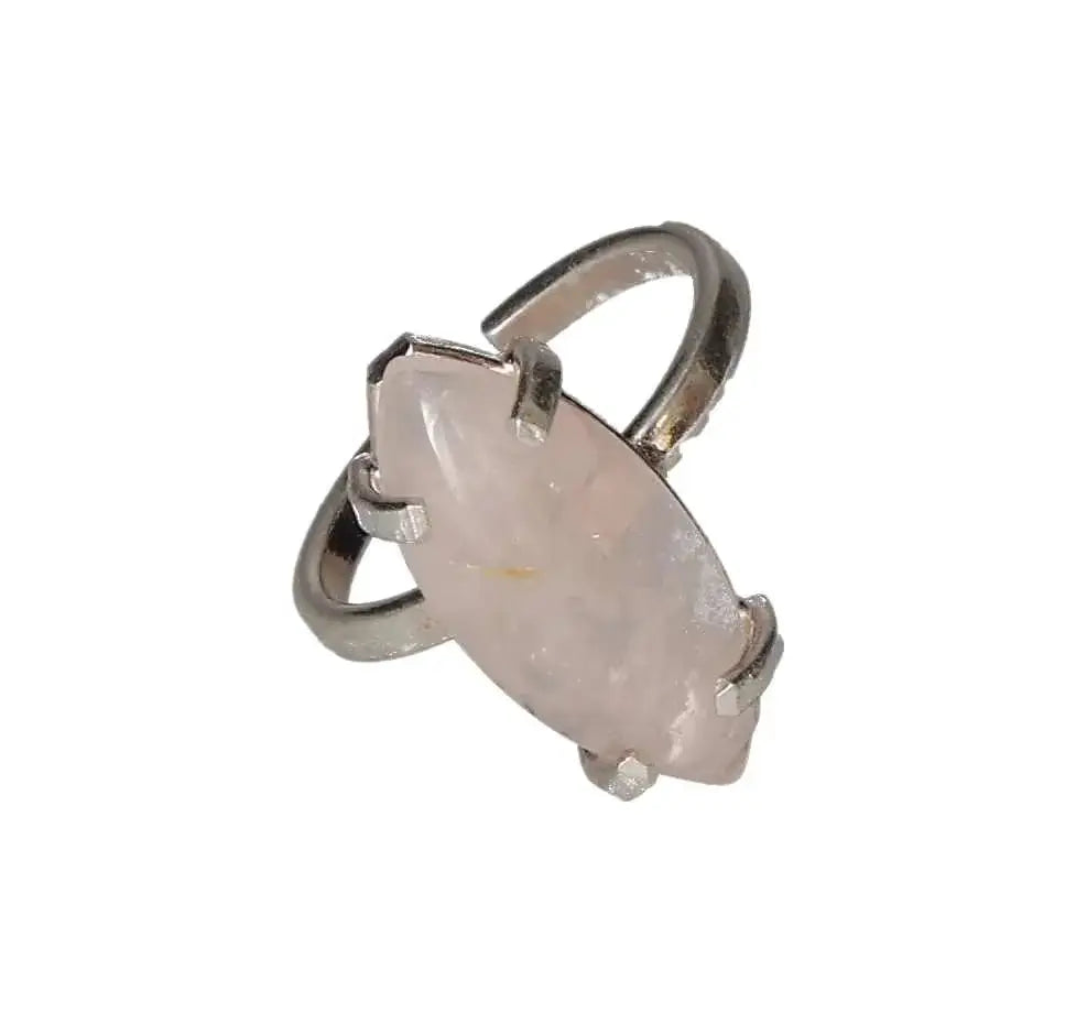 orbitvu|type:image2d