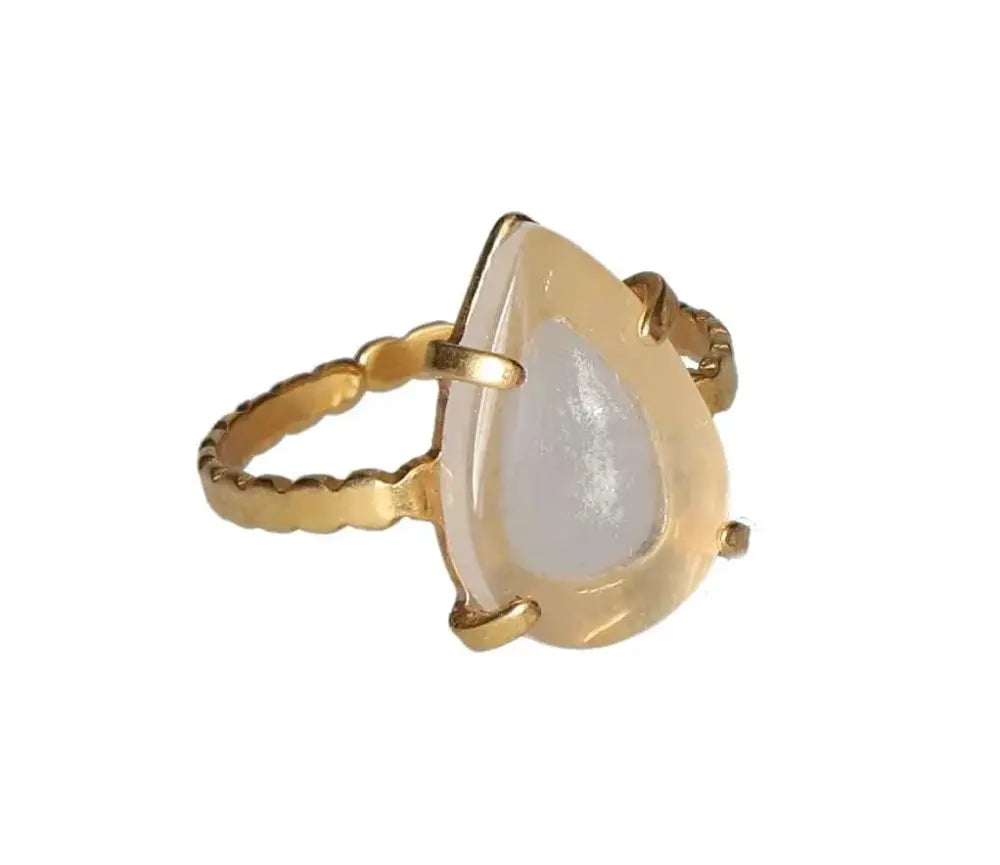 orbitvu|type:image2d