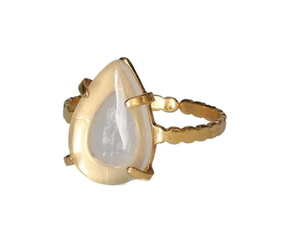 orbitvu|type:image2d