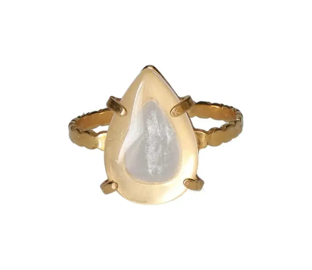 orbitvu|type:image2d