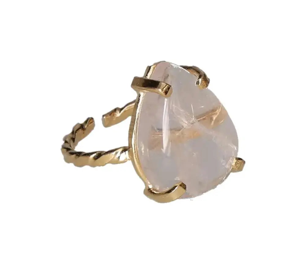 orbitvu|type:image2d