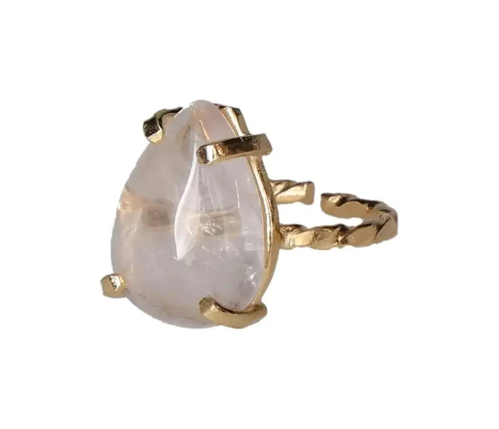 orbitvu|type:image2d