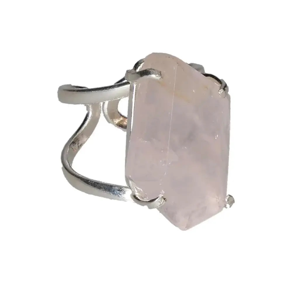 orbitvu|type:image2d