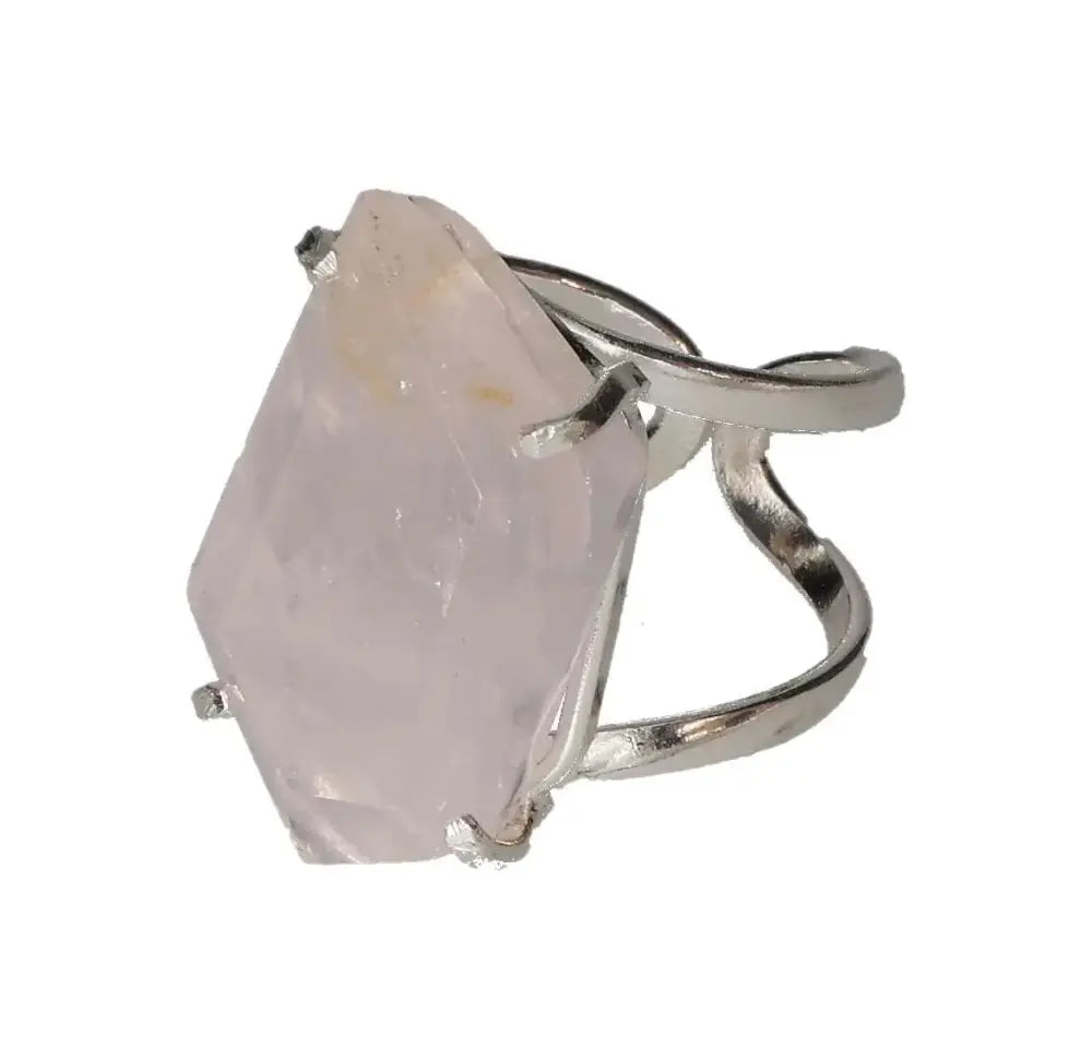 orbitvu|type:image2d