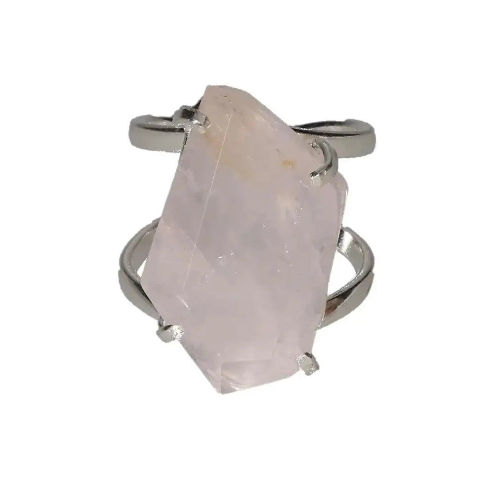 orbitvu|type:image2d