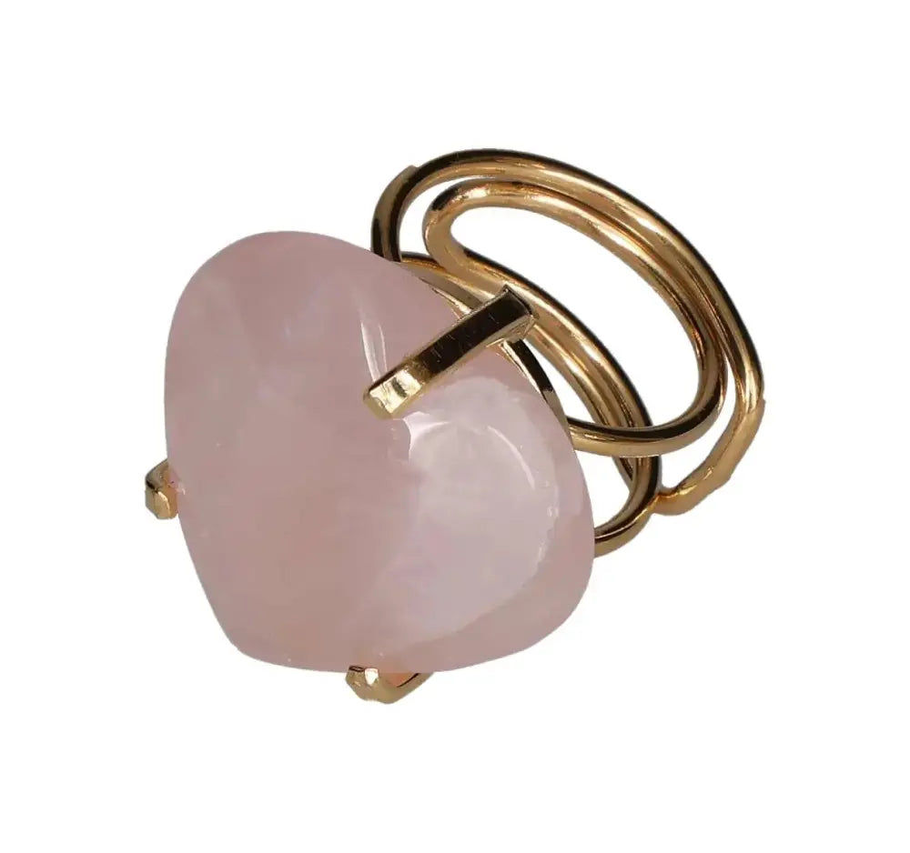 orbitvu|type:image2d