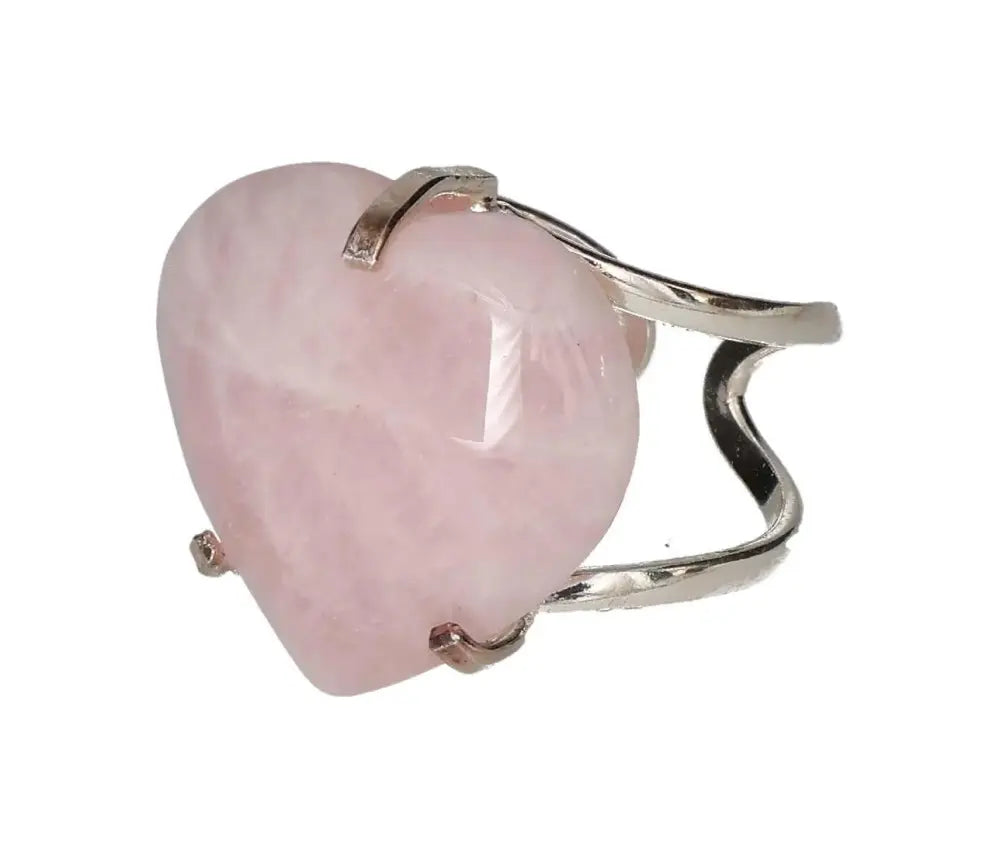 orbitvu|type:image2d