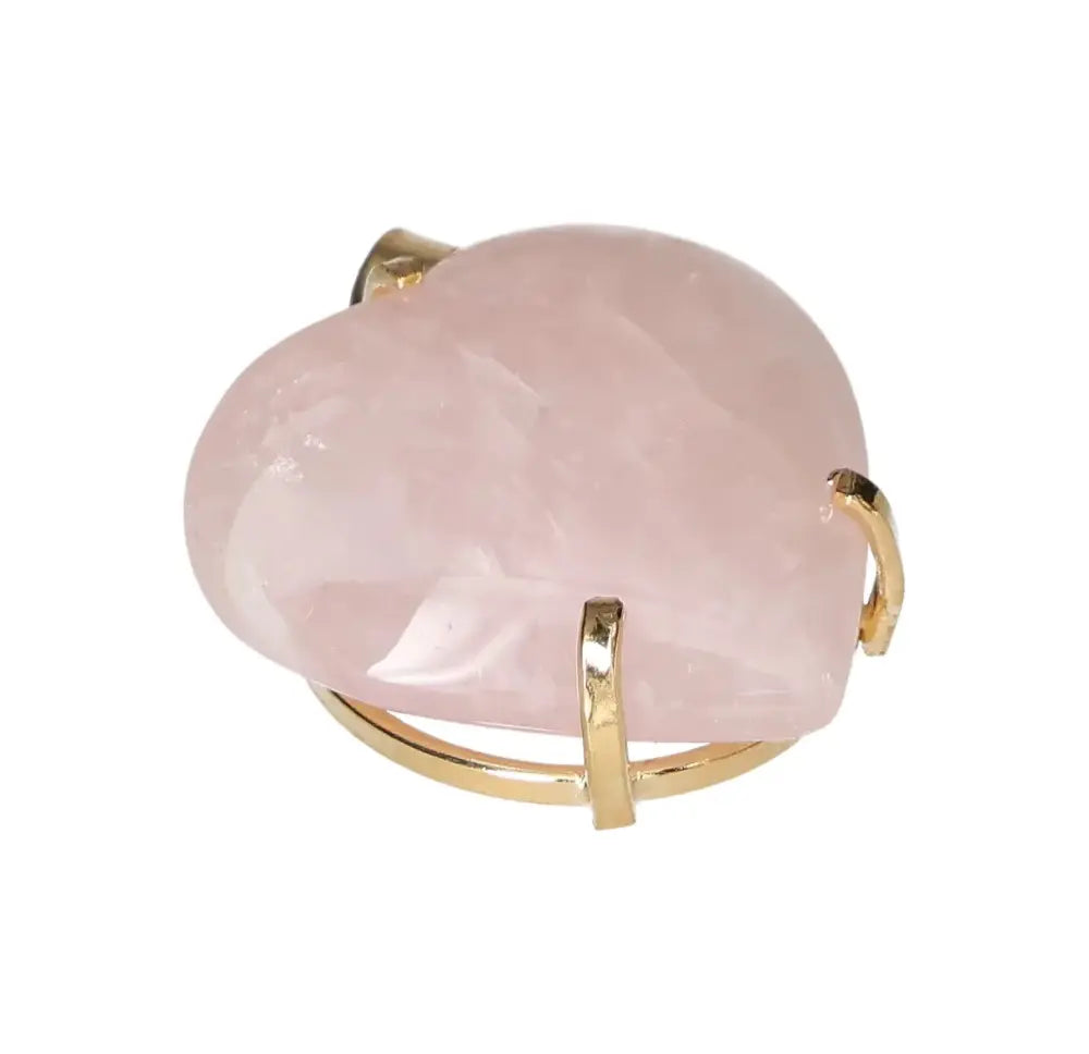 orbitvu|type:image2d