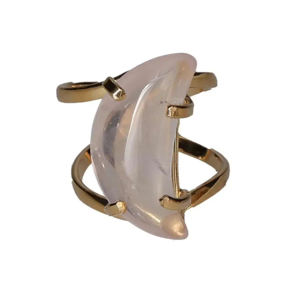 orbitvu|type:image2d