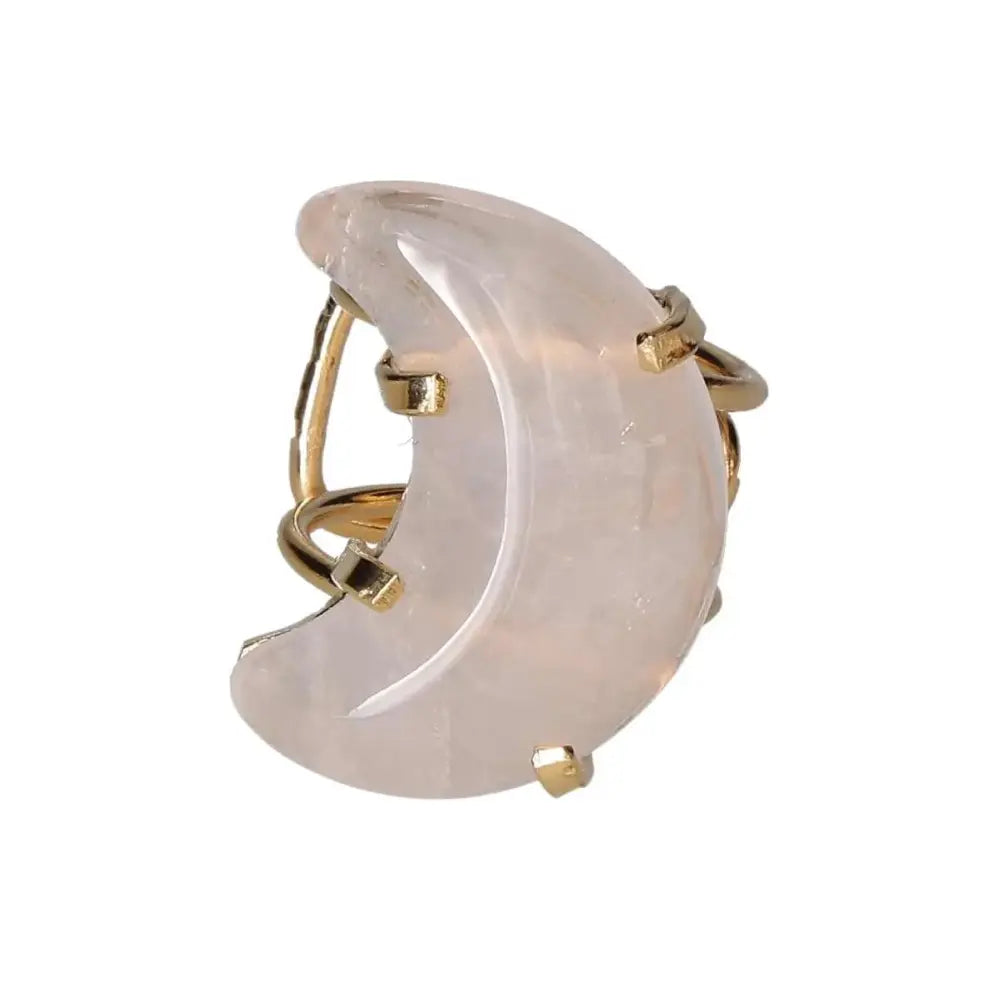 orbitvu|type:image2d