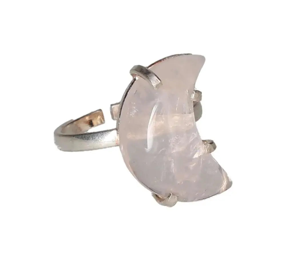 orbitvu|type:image2d