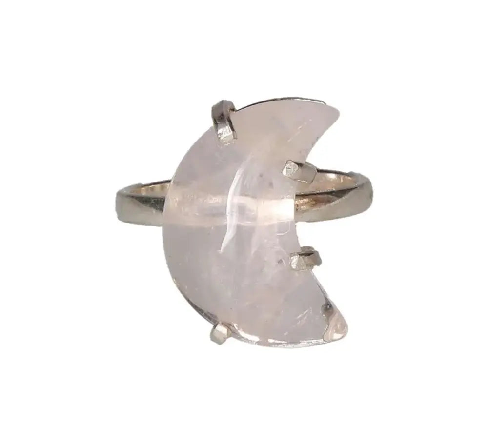 orbitvu|type:image2d