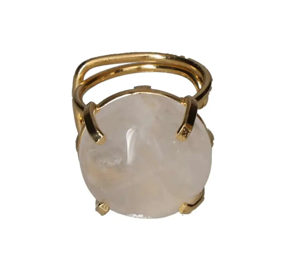 orbitvu|type:image2d