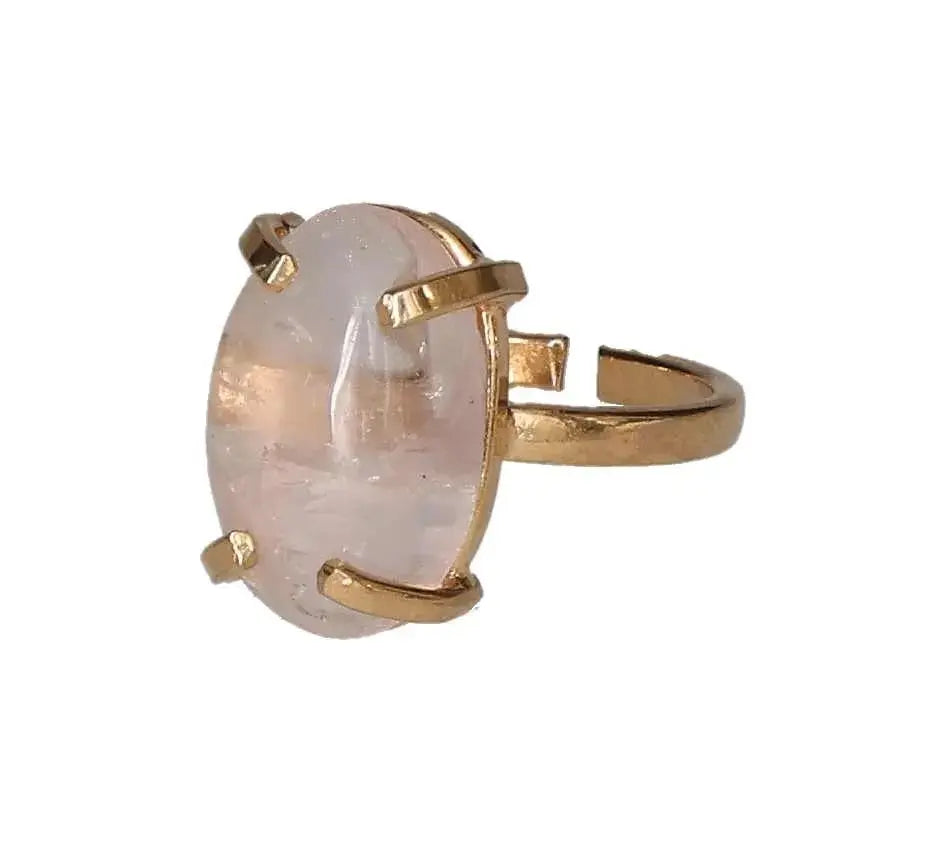 orbitvu|type:image2d