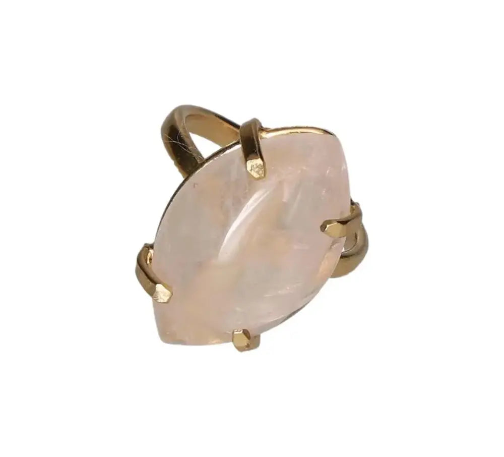 orbitvu|type:image2d