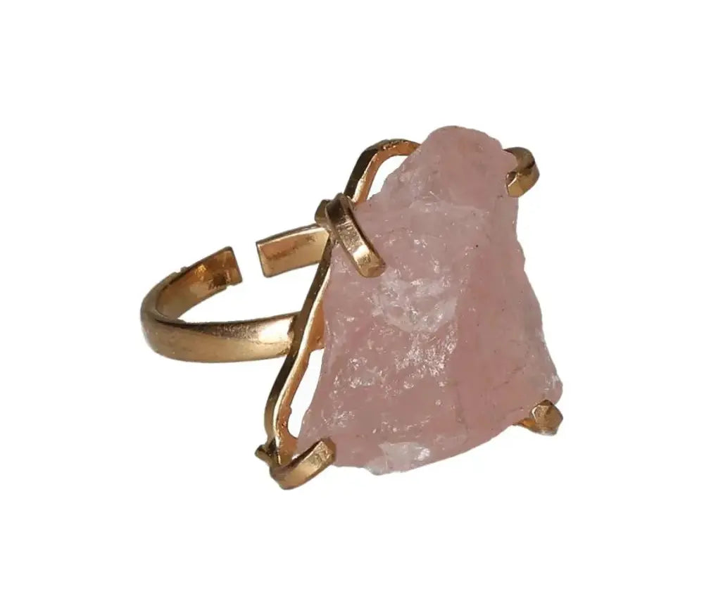 orbitvu|type:image2d